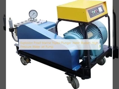 Explosion Proof Marine Triplex Plunger Water Blasters High Pressure Water Jet Pump